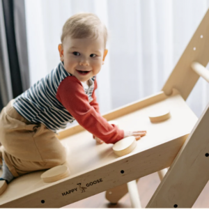 FRIDAYS: Crawlers & Climbers (7-12 Months)